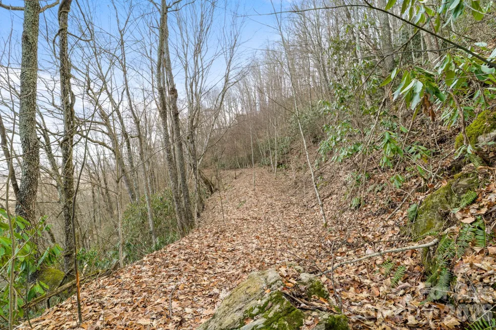 00 Forest Drive #14 Maggie Valley, NC 28751