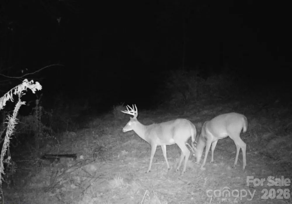 842 Old NC 20 Highway Alexander, NC 28701