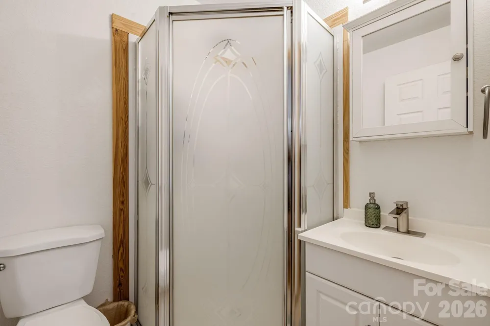 517 Pheasant Street Lake Lure, NC 28746