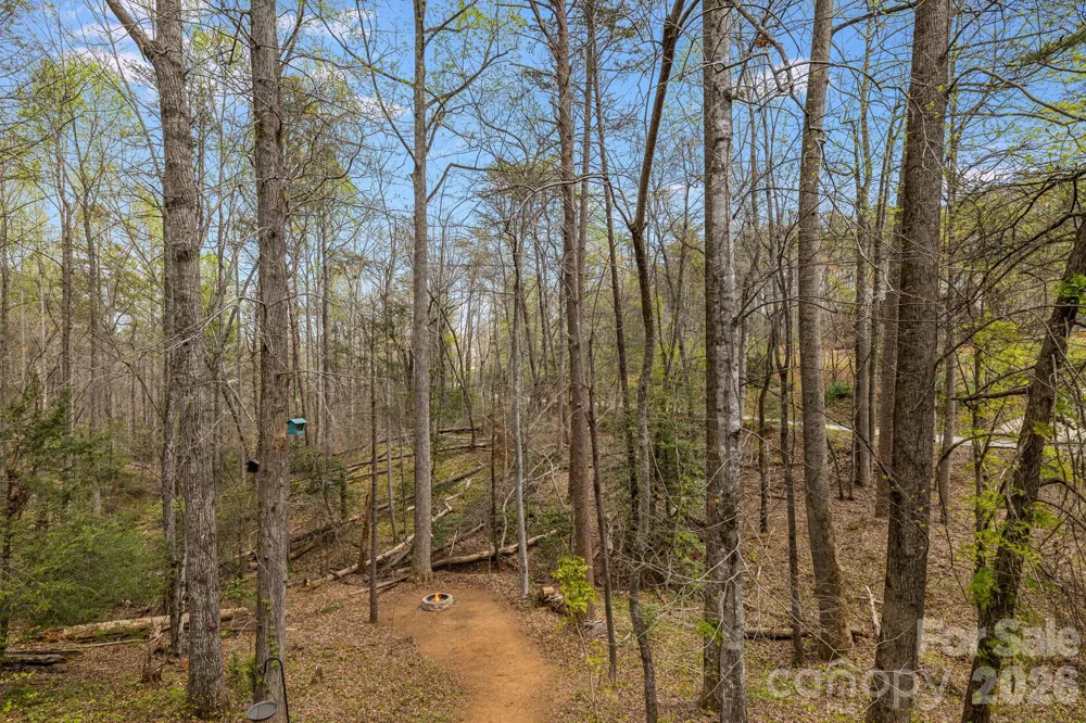 517 Pheasant Street Lake Lure, NC 28746