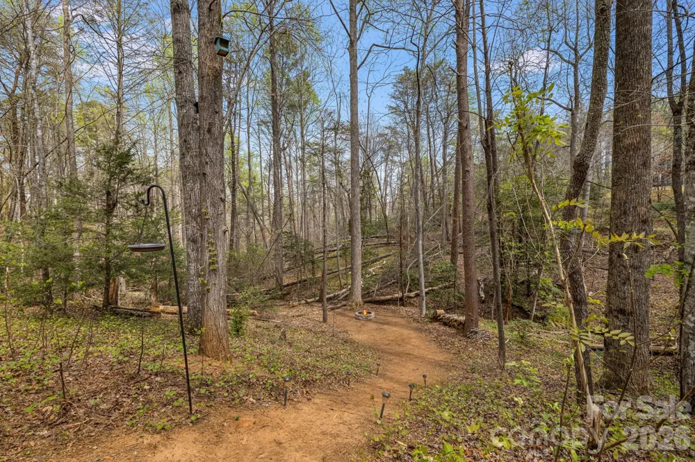 517 Pheasant Street Lake Lure, NC 28746
