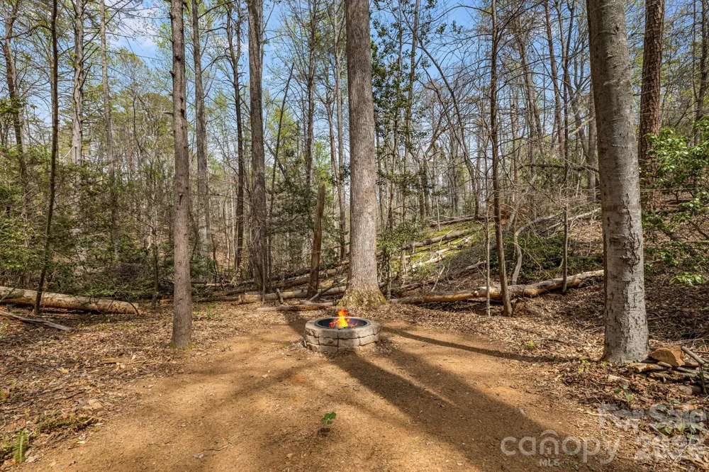 517 Pheasant Street Lake Lure, NC 28746