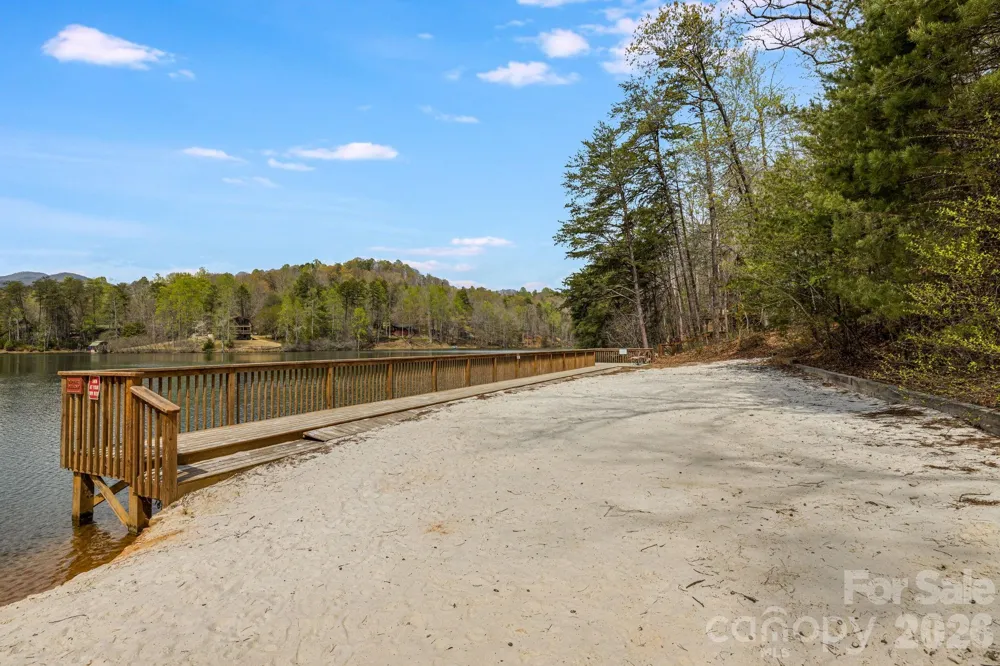 517 Pheasant Street Lake Lure, NC 28746