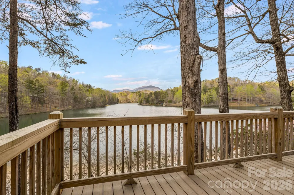 517 Pheasant Street Lake Lure, NC 28746