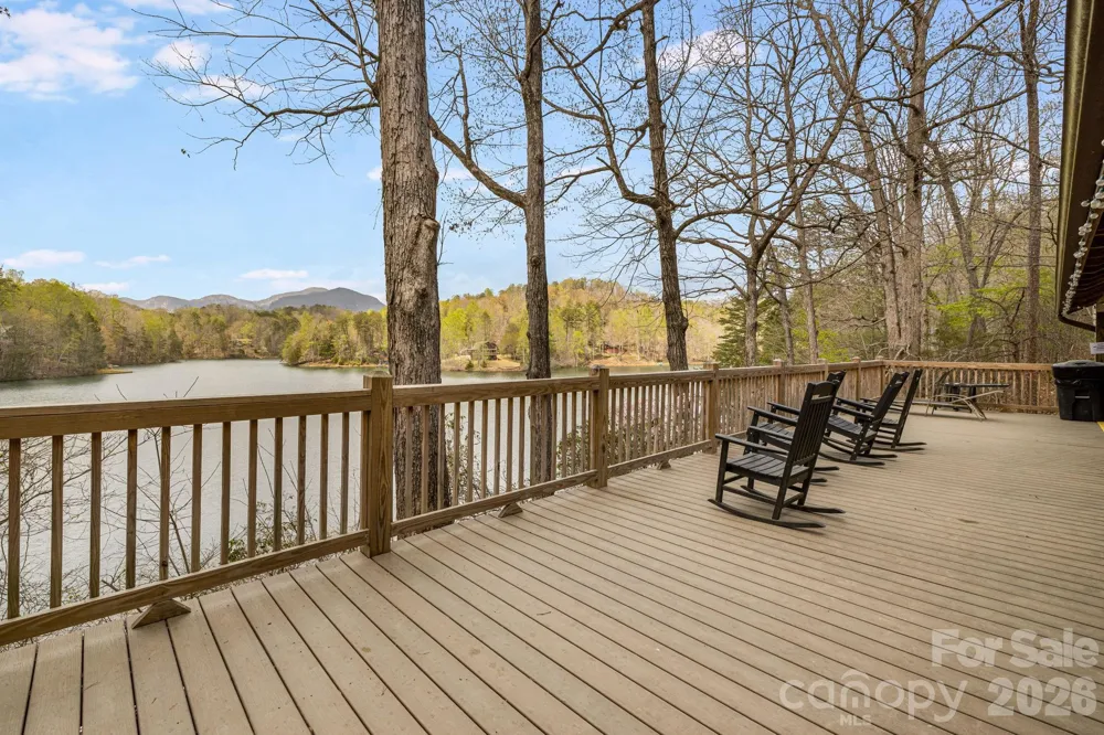 517 Pheasant Street Lake Lure, NC 28746