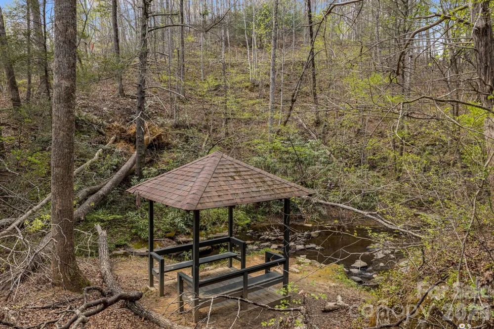 517 Pheasant Street Lake Lure, NC 28746