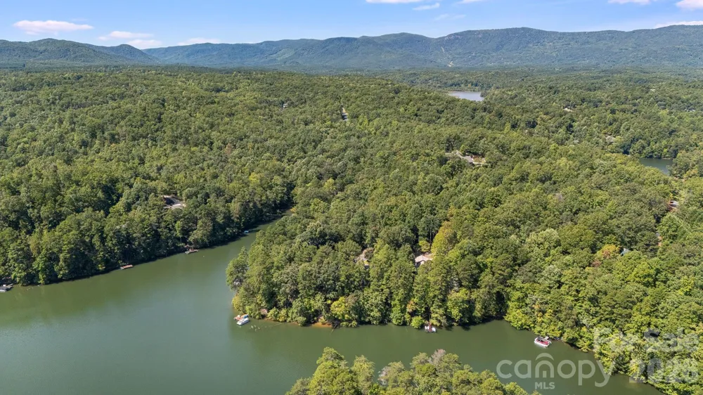 91 Island View Court Mill Spring, NC 28756