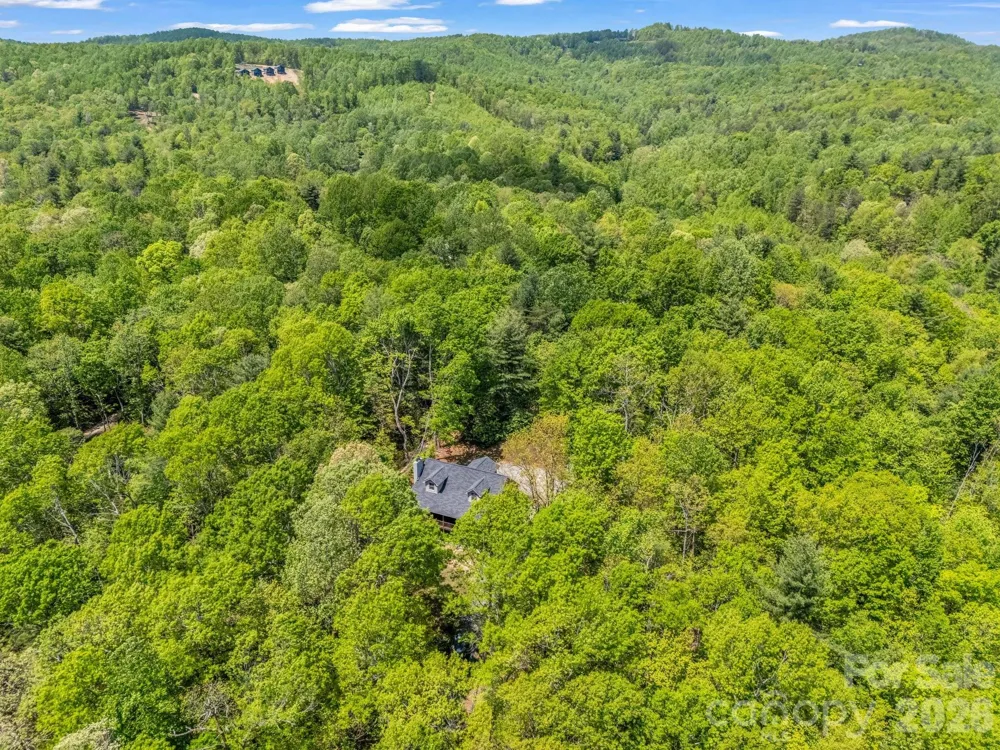 2304 Mountain Page Road Saluda, NC 28773