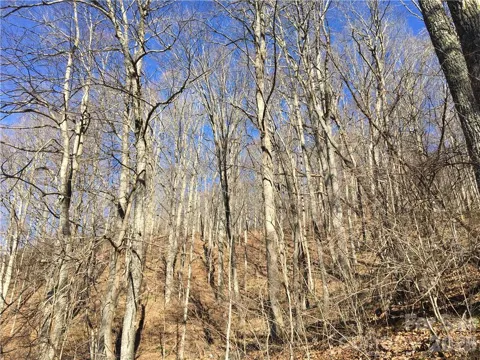 99999 Red Oak Forest Road