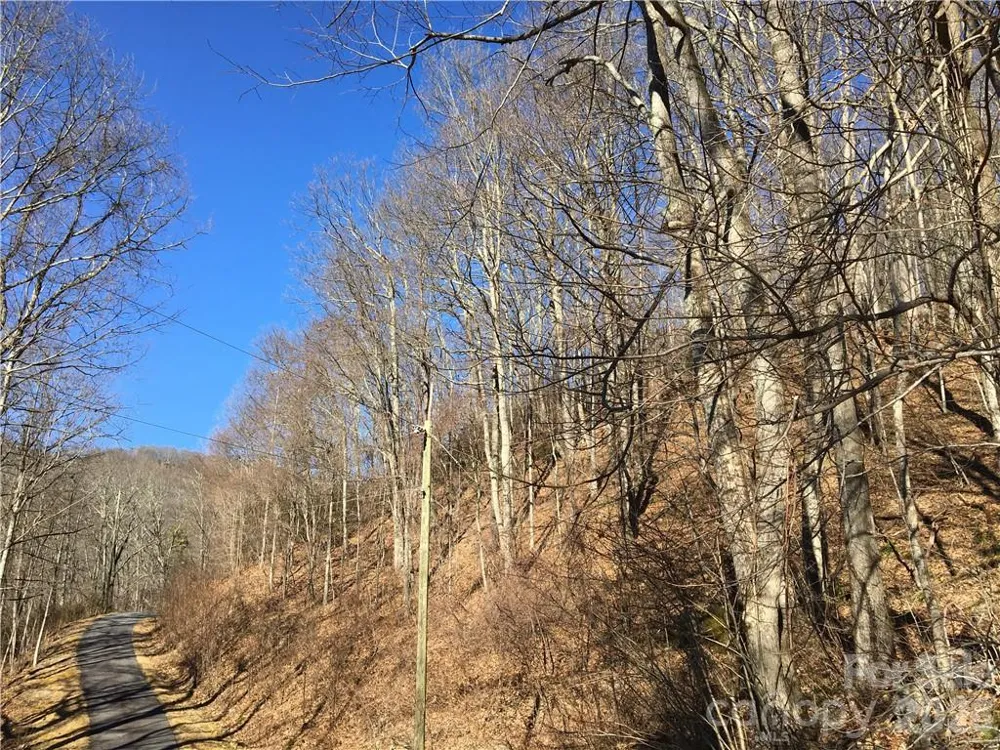 99999 Red Oak Forest Road Fairview, NC 28730