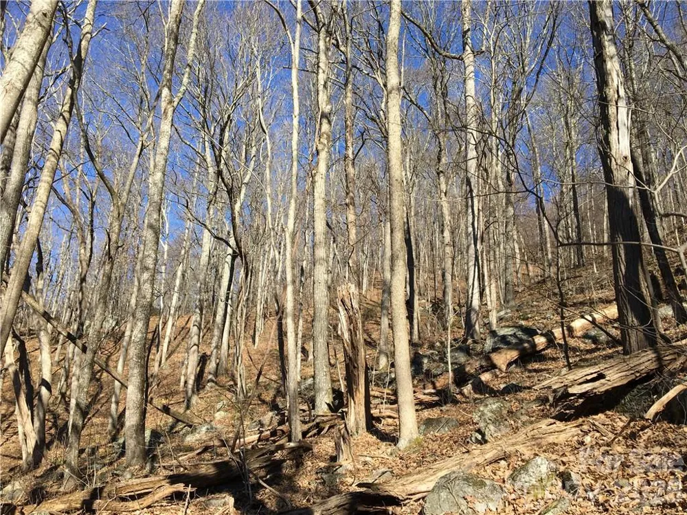 99999 Red Oak Forest Road Fairview, NC 28730