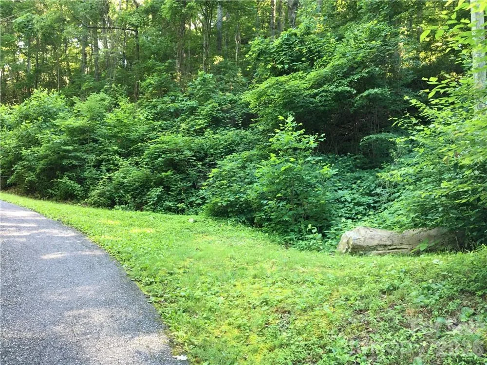99999 Red Oak Forest Road Fairview, NC 28730