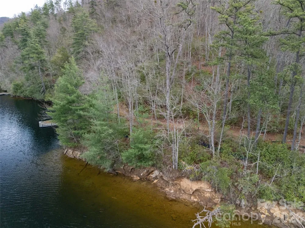 159 Songcatcher Court #159 Tuckasegee, NC 28783