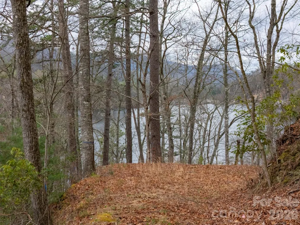 159 Songcatcher Court #159 Tuckasegee, NC 28783