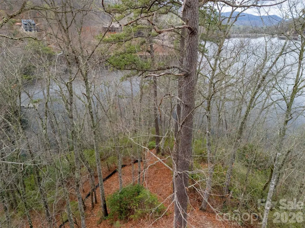 159 Songcatcher Court #159 Tuckasegee, NC 28783