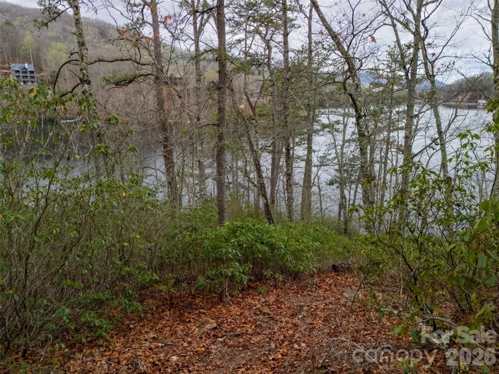 159 Songcatcher Court #159 Tuckasegee, NC 28783