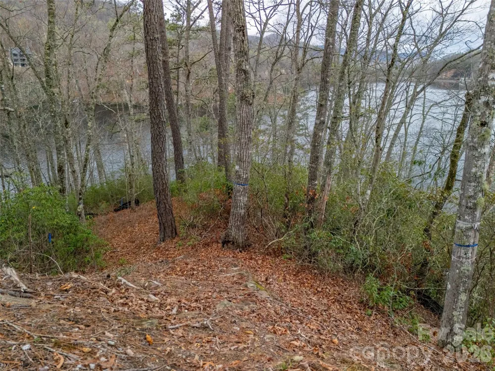 159 Songcatcher Court #159 Tuckasegee, NC 28783