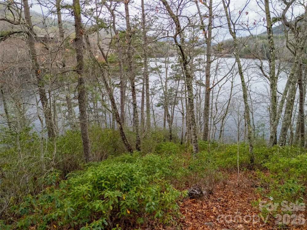 159 Songcatcher Court #159 Tuckasegee, NC 28783