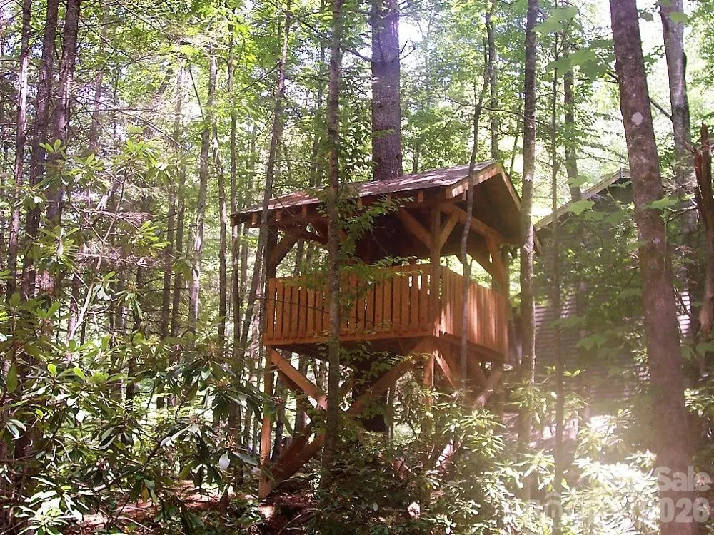 159 Songcatcher Court #159 Tuckasegee, NC 28783