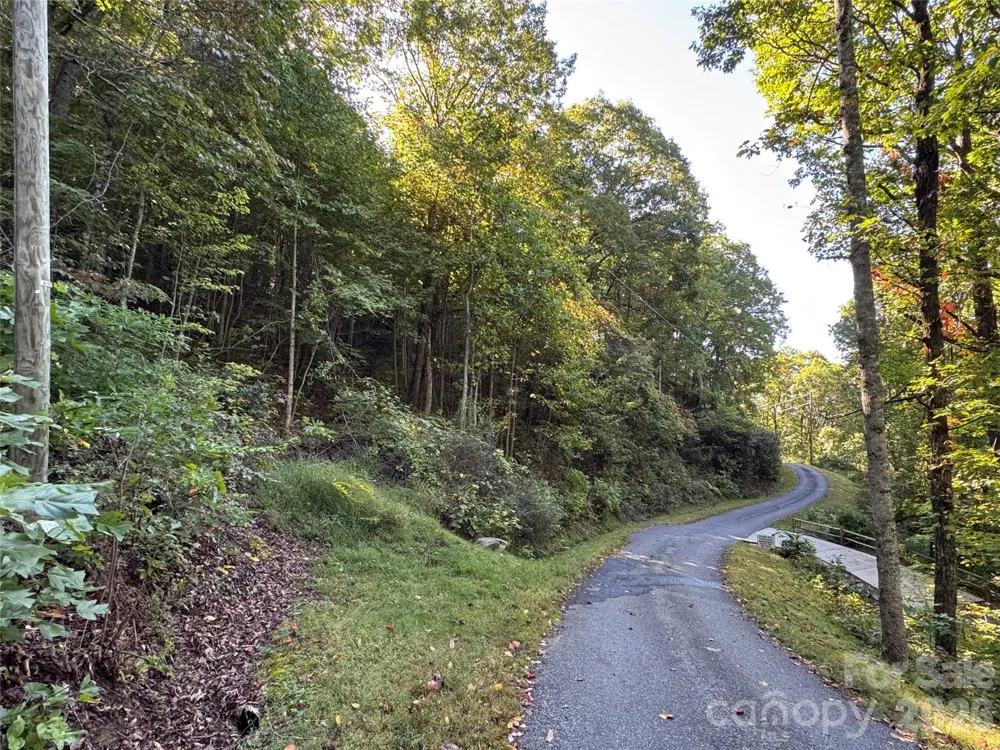 TBD Red Oak Forest Road Fairview, NC 28730