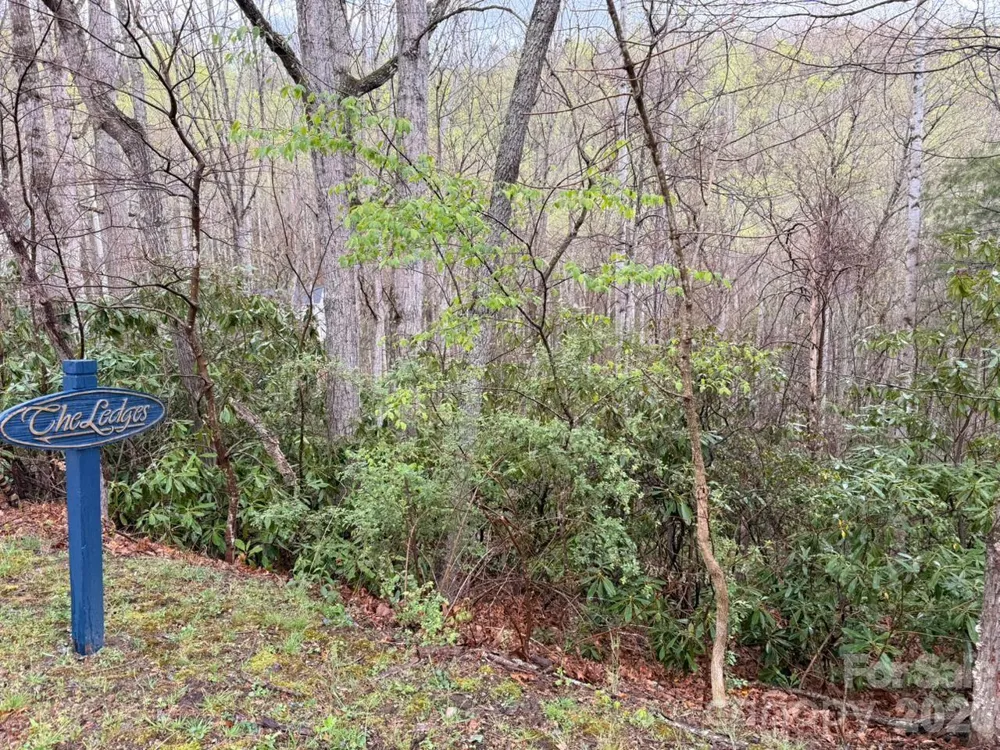 000 Ridgeview Drive Hendersonville, NC 28791