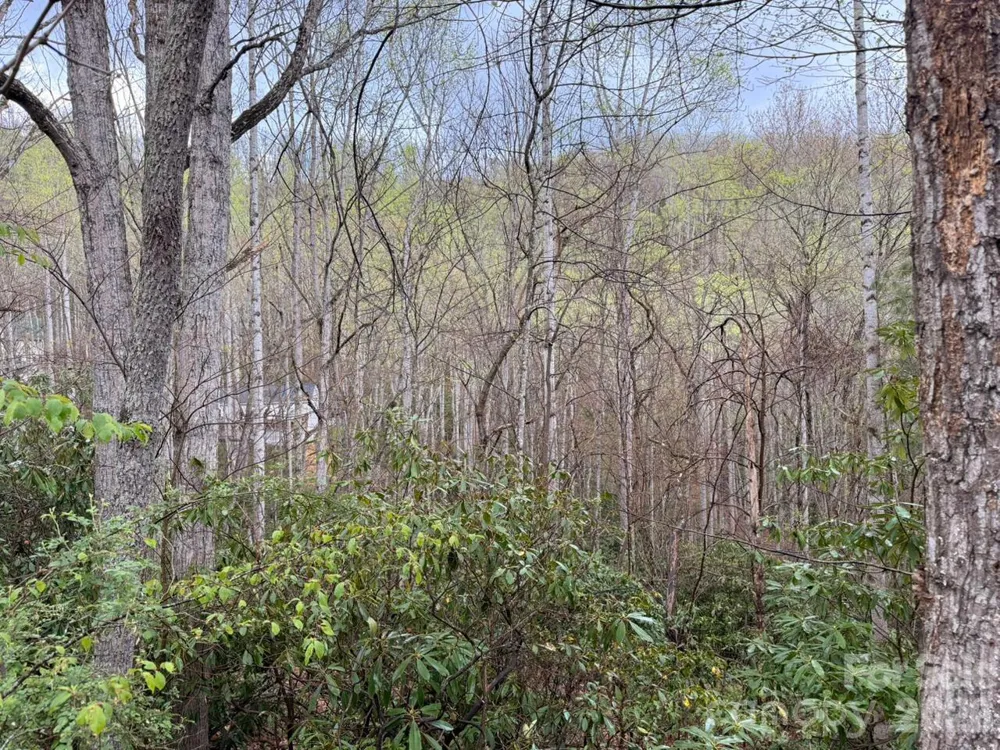 000 Ridgeview Drive Hendersonville, NC 28791