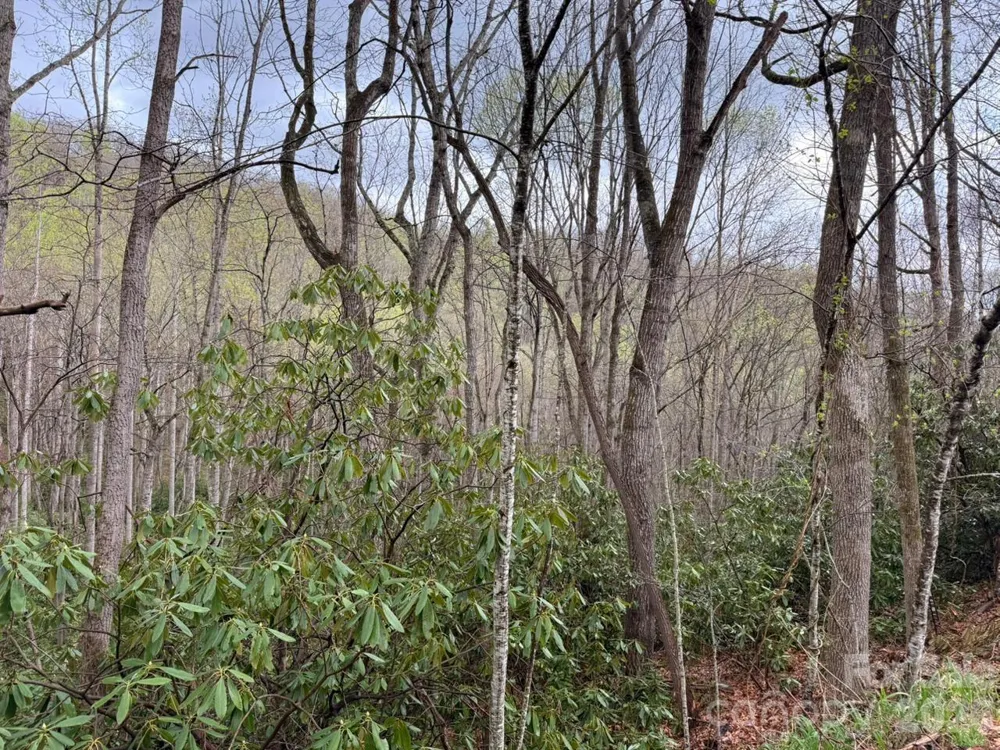 000 Ridgeview Drive Hendersonville, NC 28791