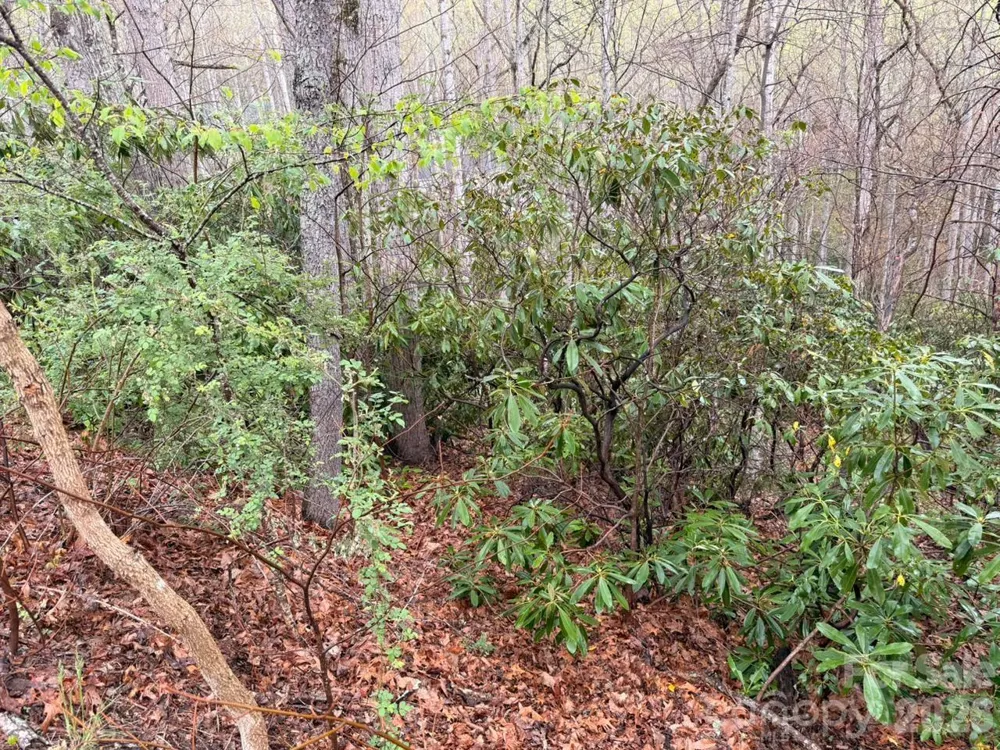 000 Ridgeview Drive Hendersonville, NC 28791