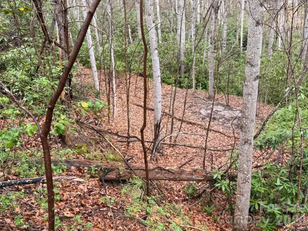 000 Ridgeview Drive Hendersonville, NC 28791