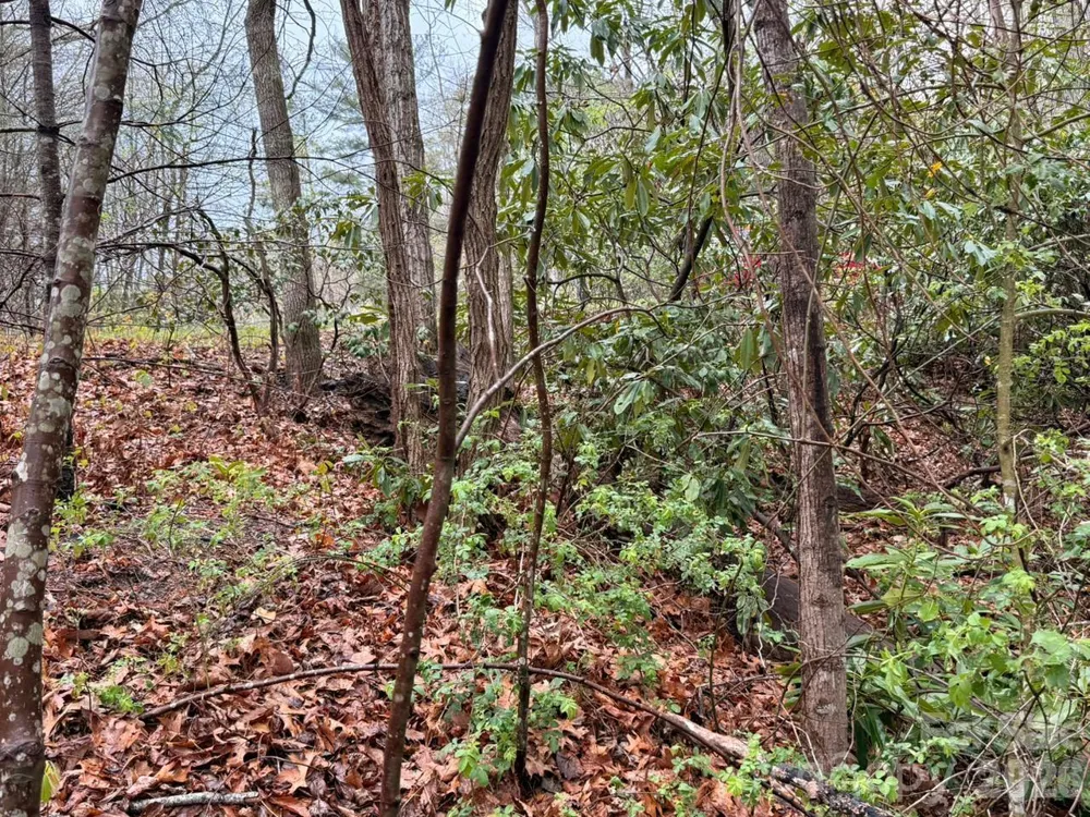 000 Ridgeview Drive Hendersonville, NC 28791