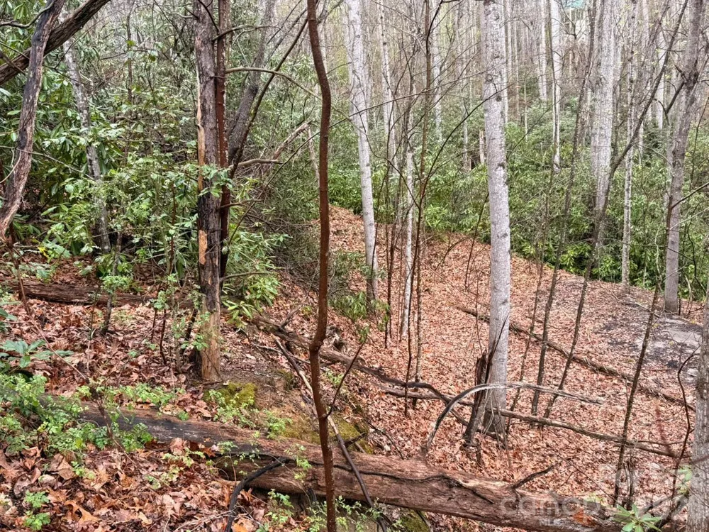 000 Ridgeview Drive Hendersonville, NC 28791