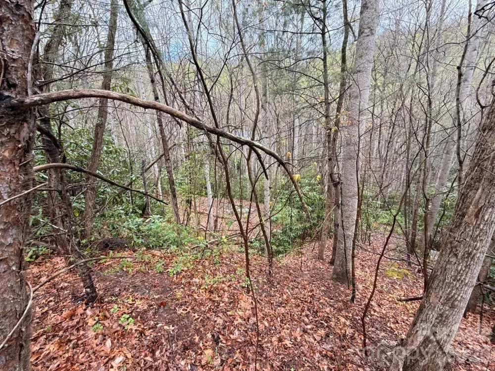000 Ridgeview Drive Hendersonville, NC 28791