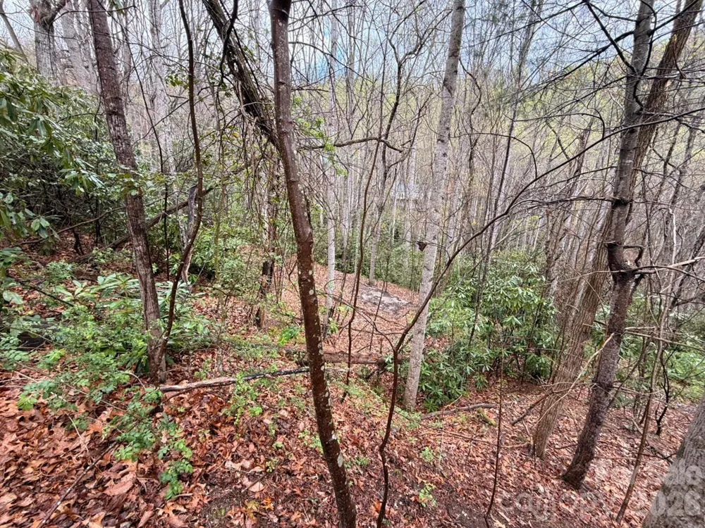 000 Ridgeview Drive Hendersonville, NC 28791