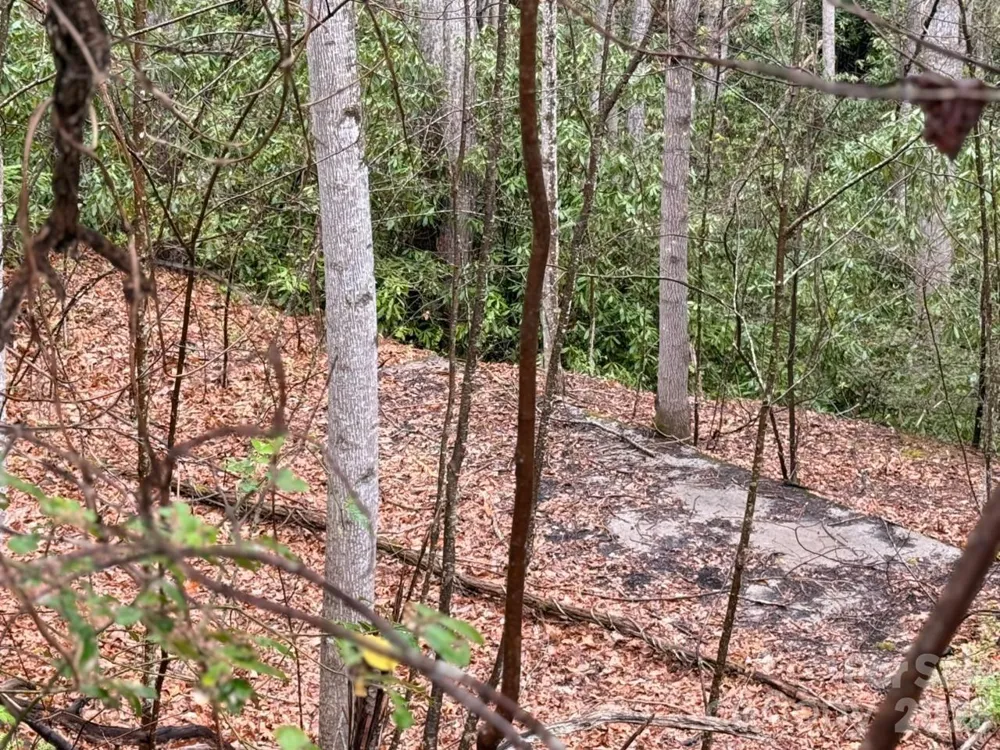 000 Ridgeview Drive Hendersonville, NC 28791