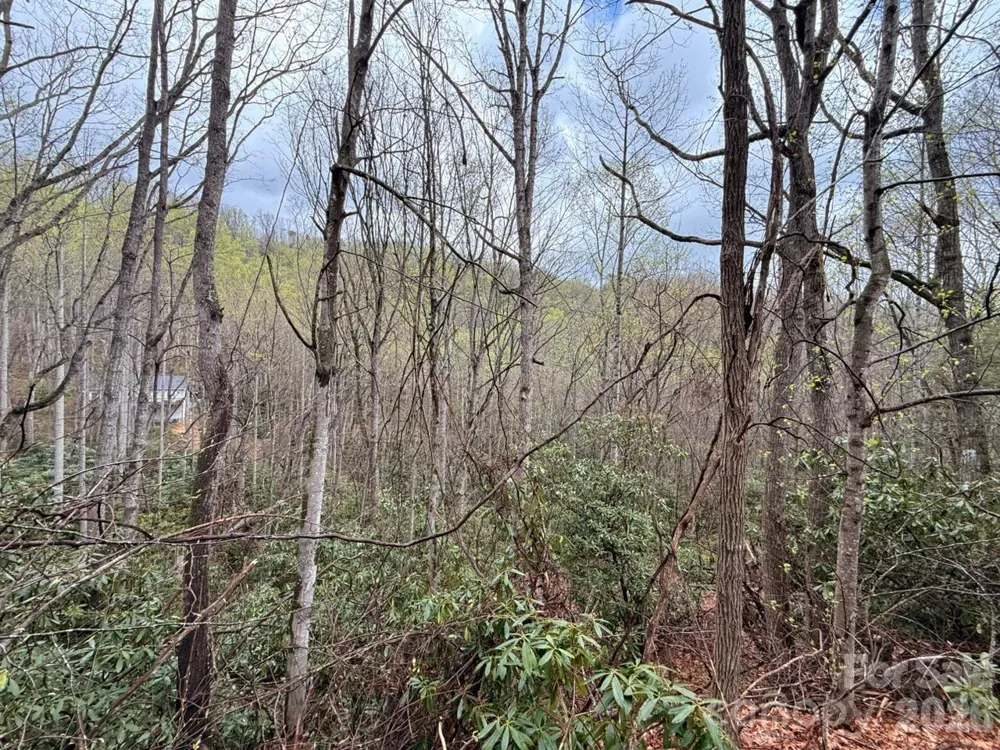 000 Ridgeview Drive Hendersonville, NC 28791