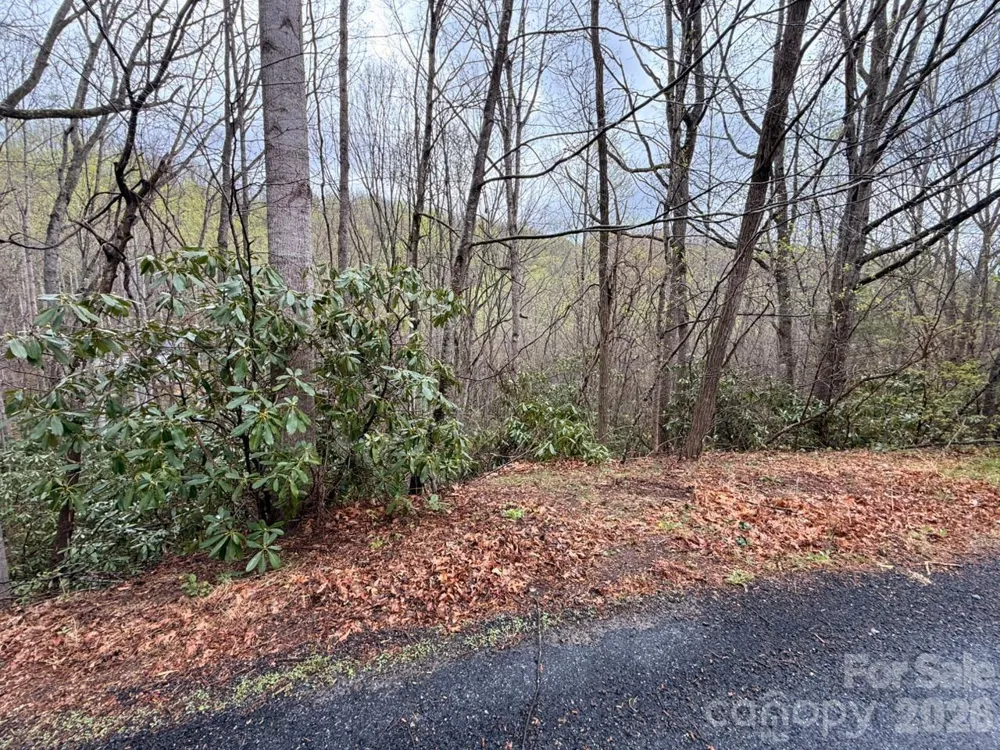000 Ridgeview Drive Hendersonville, NC 28791