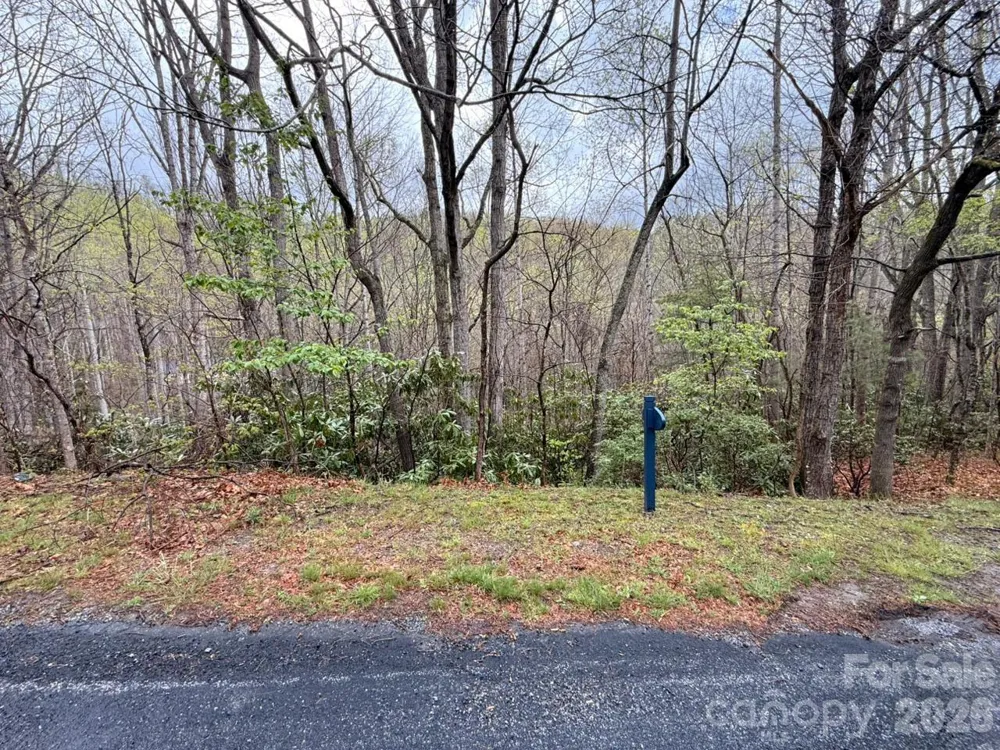 000 Ridgeview Drive Hendersonville, NC 28791