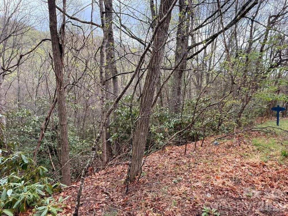 000 Ridgeview Drive Hendersonville, NC 28791