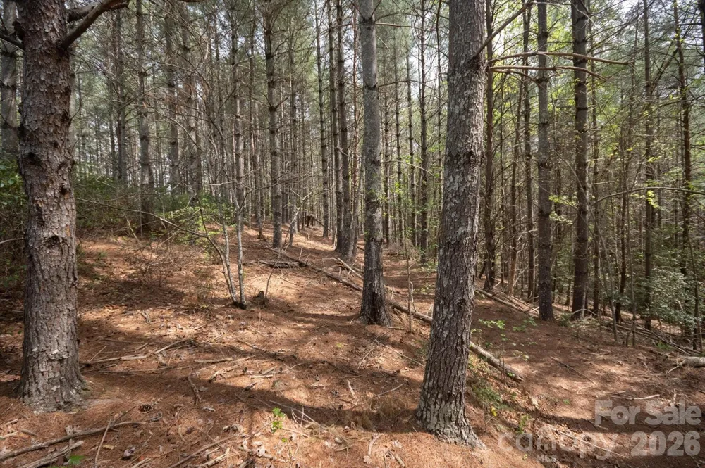 103 Big Tree Way Nebo, NC 28761