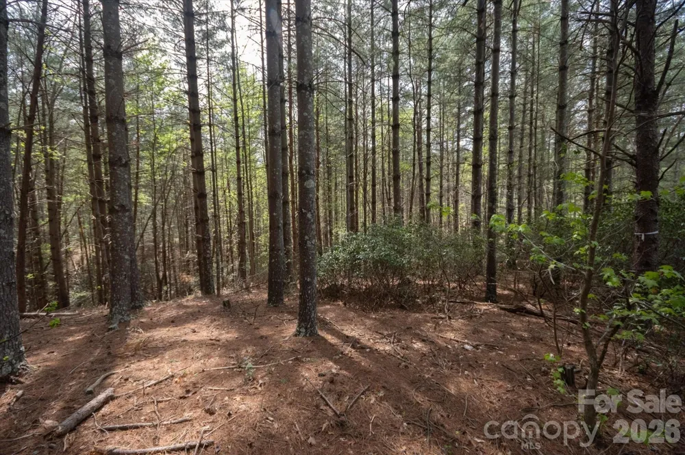103 Big Tree Way Nebo, NC 28761