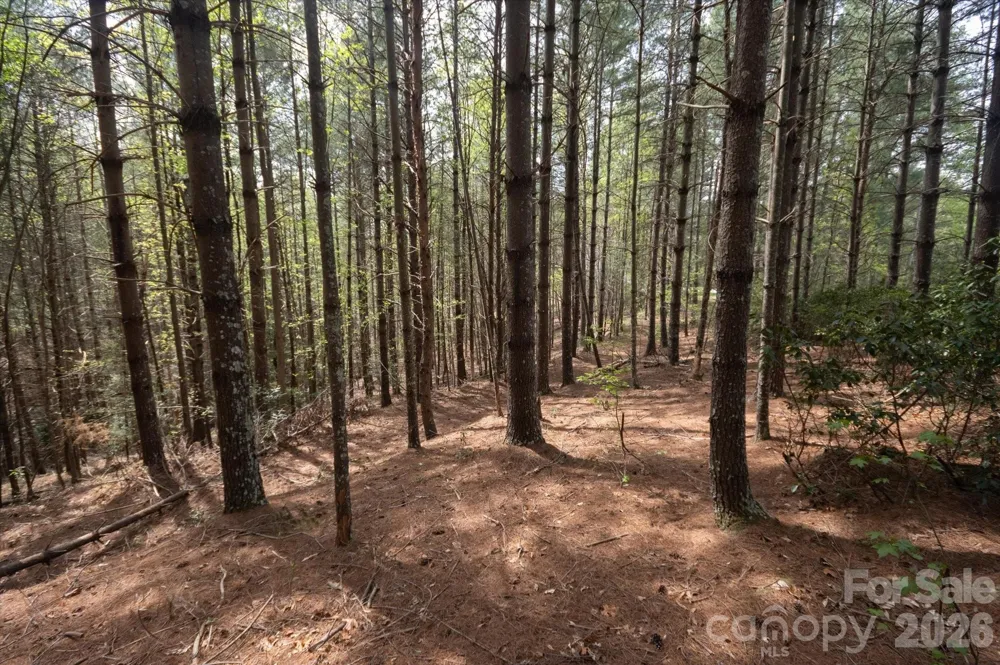 103 Big Tree Way Nebo, NC 28761