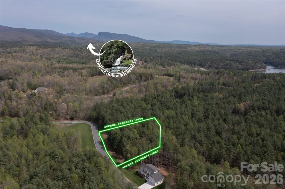 103 Big Tree Way Nebo, NC 28761