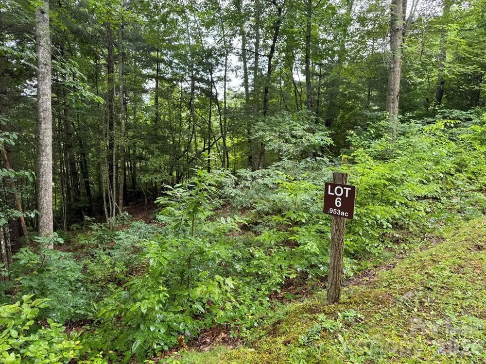 Lot 6 Garnet Road Sylva, NC 28779