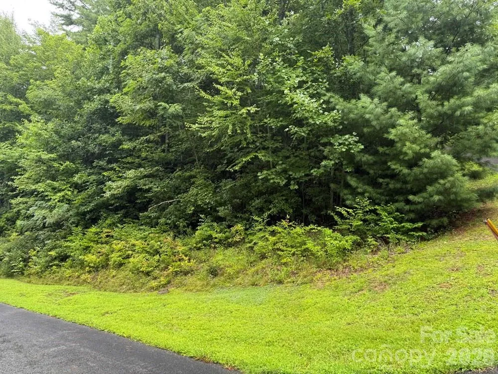 Lot 6 Garnet Road Sylva, NC 28779