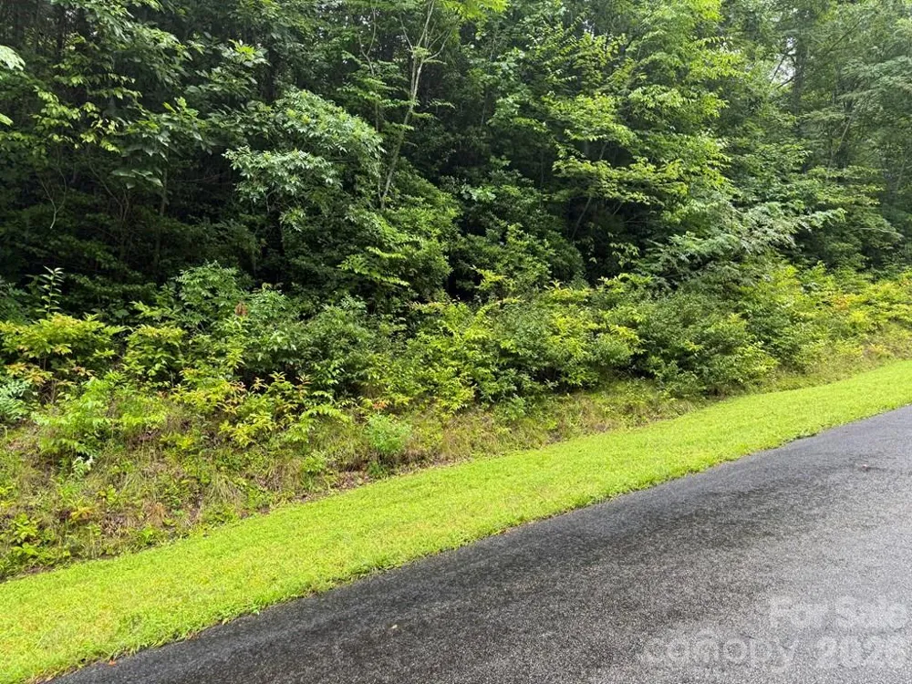 Lot 6 Garnet Road Sylva, NC 28779