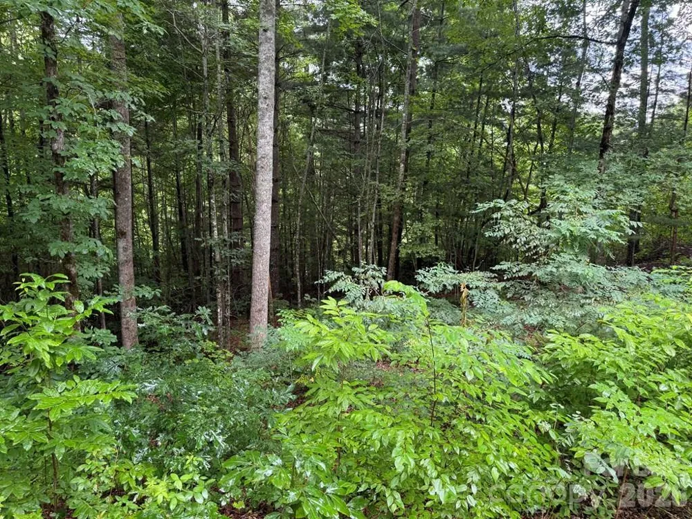 Lot 6 Garnet Road Sylva, NC 28779