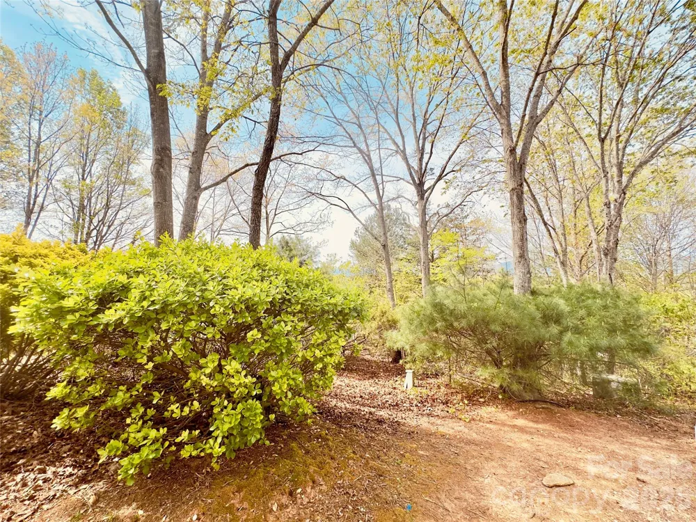 27 Magnolia Drive Nebo, NC 28761