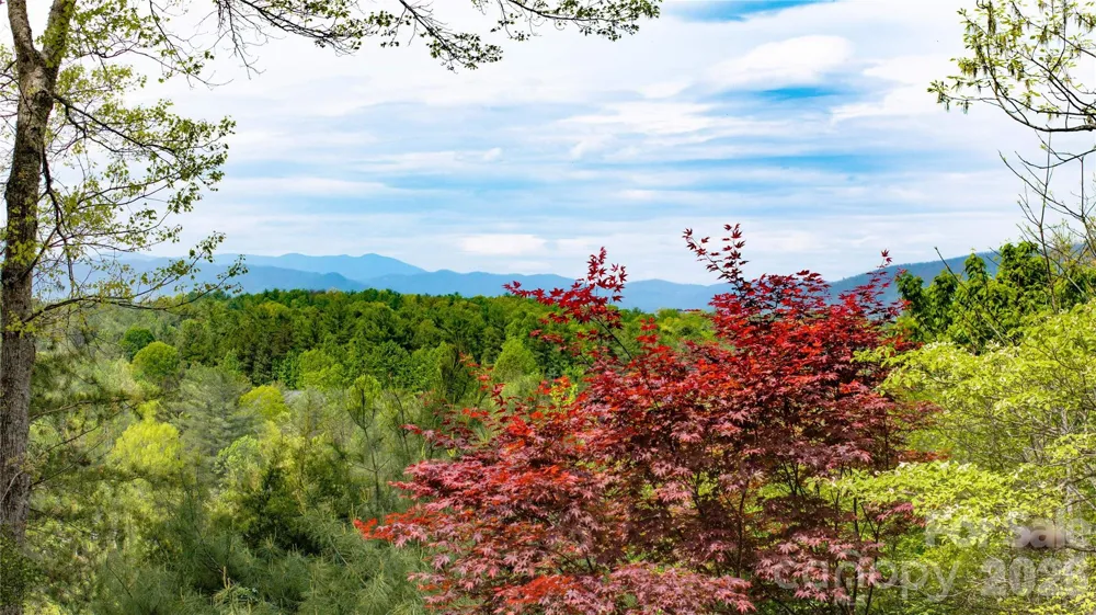 27 Magnolia Drive Nebo, NC 28761