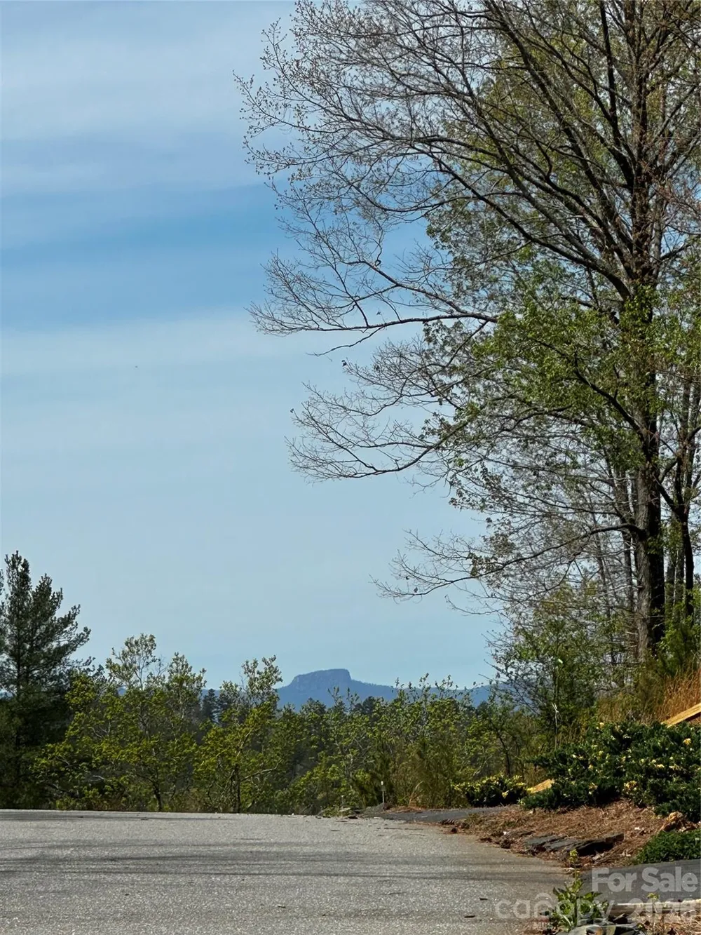 3202 Bear Paw Avenue NW #34 Valdese, NC 28690