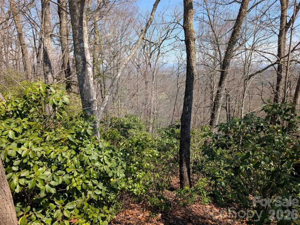 1094 Mills River Way Horse Shoe, NC 28742